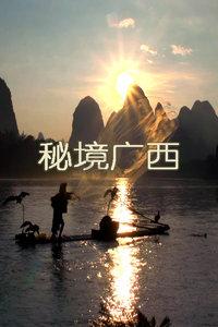 了解知识星球平台文竹的花能开多久?,聚焦专业知识的乐园